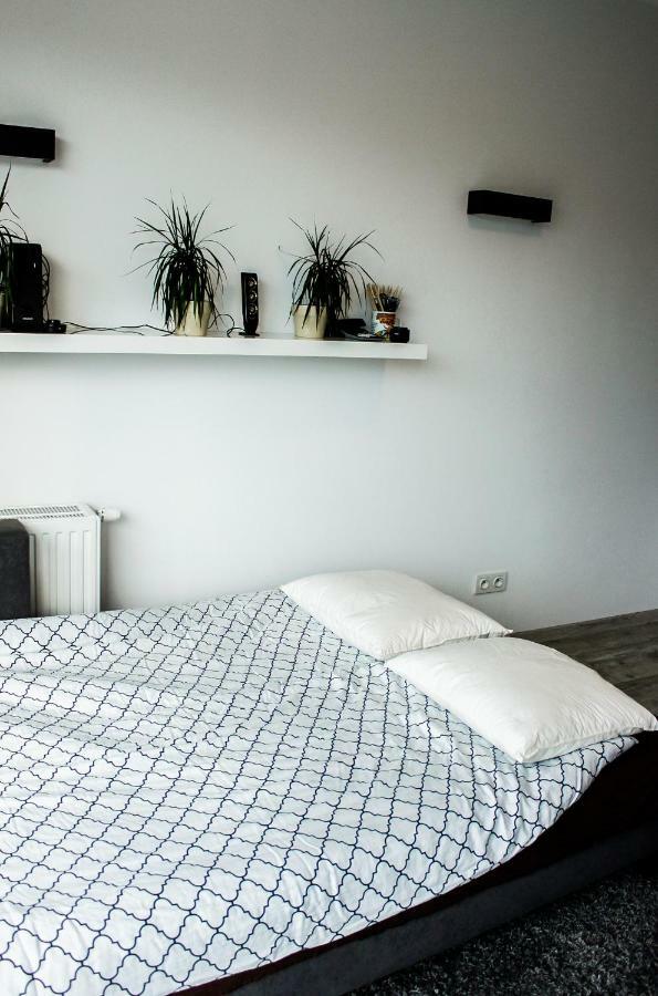 Modern Business Apartment Close To City Center Check In 24H พอซนาน ภายนอก รูปภาพ